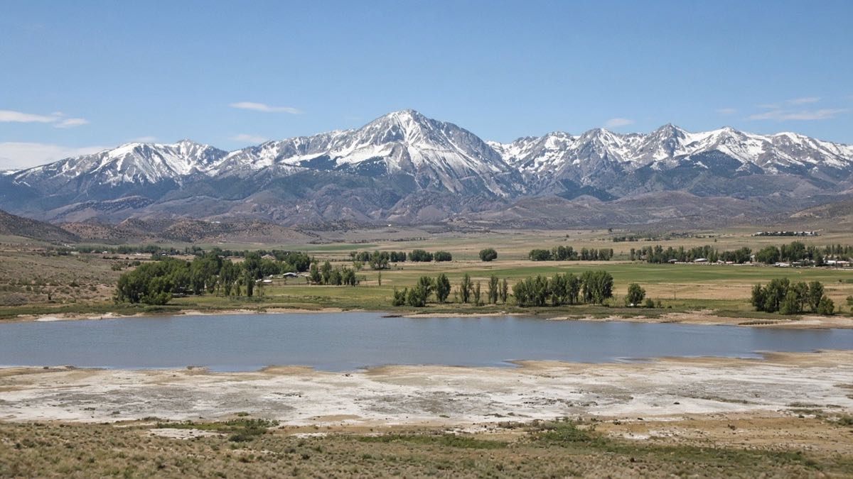 Arsenic in Washoe Valley Well Water